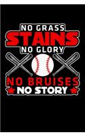 No Grass Stains No Glory No Bruises No Story