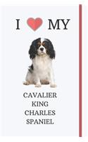 I Love My Cavalier King Charles Spaniel