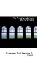 Die Strudelwürmer