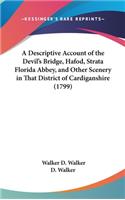 A Descriptive Account of the Devil's Bridge, Hafod, Strata Florida Abbey, and Other Scenery in That District of Cardiganshire (1799)