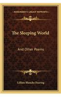 Sleeping World