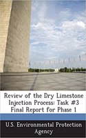 Review of the Dry Limestone Injection Process: Task #3 Final Report for Phase 1(English)
