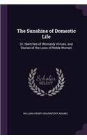 The Sunshine of Domestic Life