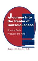 Journey into the Realm of Consciousness
