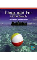 Near and Far at the Beach