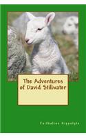 The Adventures of David Stillwater