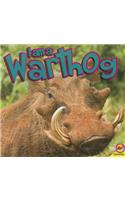 I Am a Warthog