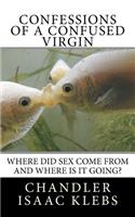 Confessions of a Confused Virgin