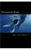 Dinosaurs & Sharks