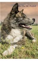 Akita Inu 8th Notebook Record Journal, Diary, Special Memories, To Do List, Academic Notepad, and Much More