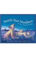 North Star Numbers