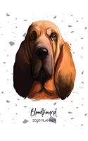 Bloodhound 2020 Planner: Dated Weekly Diary With To Do Notes & Dog Quotes