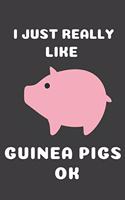 I Just Really Like Guinea Pigs Ok: Cute Guinea Pig Gift Journal Blank Lined Notebook (6x9), 120 Pages