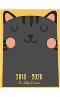 2018 - 2020 Monthly Planner: Planner 3 year monthly planner, Monthly Schedule Organizer - Agenda For The Next 3Years, 36 Months Calendar, Appointment Notebook, Journal(2 3 Year Planner 2018-2020)