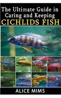 The Ultimate Guide in Caring and Keeping Cichlids Fish