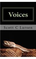 Voices