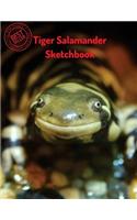 Tiger Salamander Sketchbook