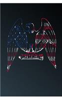 American Flag Eagle Silhouette