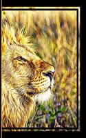 African Lion Notebook: African Lion on African Serengeti: Wide Ruled Blank Line Notes Paper, Notebook, Journal, Diary, Note Pad, Writing Notes: 120 Pages: For Students, Wo