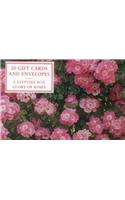 Glory of Roses: A Fabulous Collection of Flower Notecards and Envelopes: Tin Box of 20 Gift Cards and Envelopes