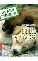 Petits Veterinaires N1 Chiots