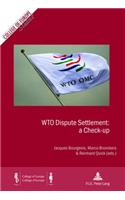 Wto Dispute Settlement: A Check-Up