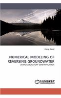 Numerical Modeling of Reversing Groundwater