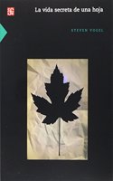 La Vida Secreta de Una Hoja