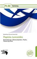 Pepinia Juncoides