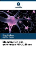 Stammzellen von exfolierten Milchzähnen