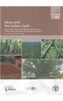 Africa and the Carbon Cycle