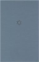 Talmud of the Land of Israel, Volume 27