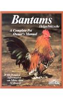 Bantams