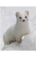 2020 Diary