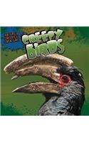 Creepy Birds