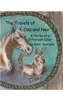 Travels of Oso and Neo