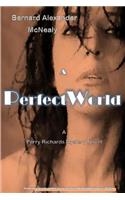 Perfect World