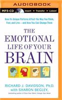 Emotional Life of Your Brain