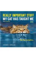 2019 Really Important Stuff My Cat Has Taught Me Wall Calendar