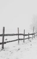 Wooden Fence Journal