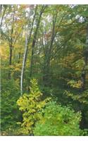 Journal Lush Forest: (Nature Photo Journals Notebooks Diaries)