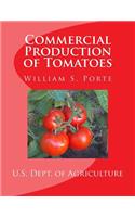 Commercial Production of Tomatoes