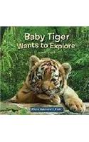 Baby Tiger Wants to Explore
