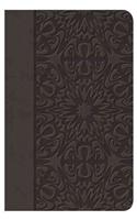 Santa Biblia-Rvr 1977: Reina-Valera, Grafito / Graphite