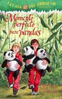 Momento Perfecto Para Pandas
