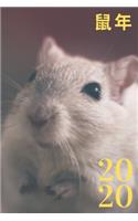2020 鼠年