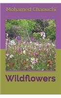 Wildflowers