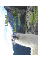 Llamas @ Machu Picchu Calendar 2020