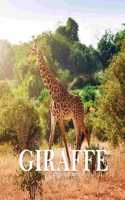 Giraffe Calendar 2020: 16 Month Calendar