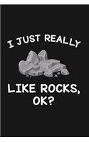 I Just Really Like Rocks Ok